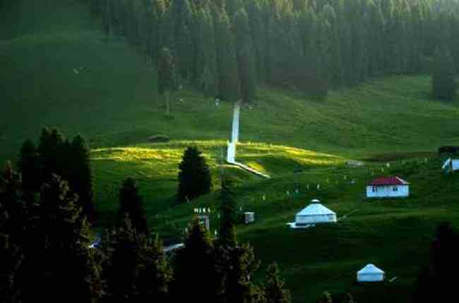 新疆江布拉克草原风光,图九