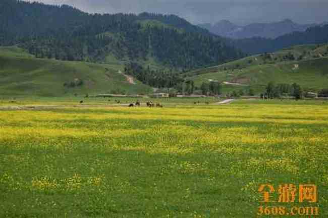 我的家乡新源,图一