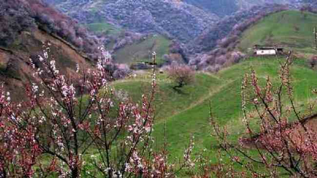 新疆新源风光,图八