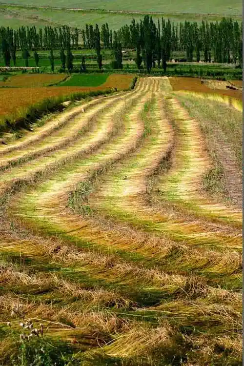 吉尔格郎田园风光