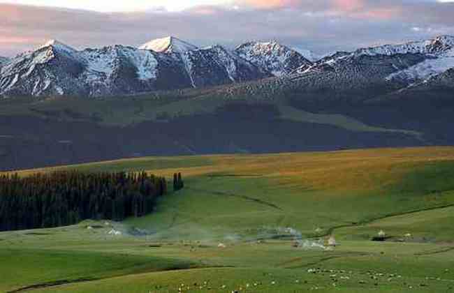 新疆-哈拉峻草原,图六