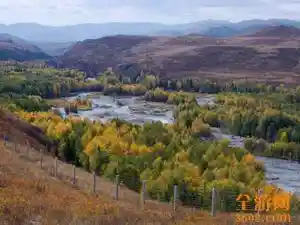 阿尔泰山