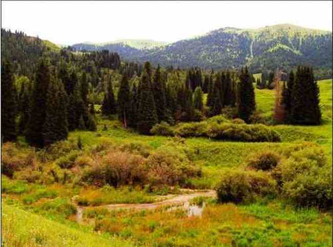 新疆夏尔希,图二