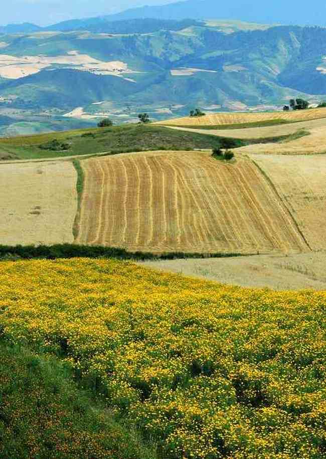 新疆江不拉克風光,圖八