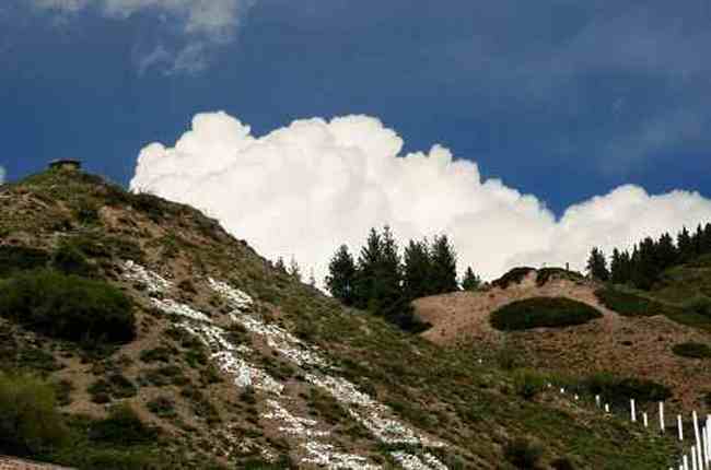 新疆夏爾希里自然保護區(qū),圖十二