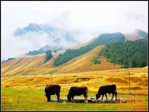 南山风景区,图一