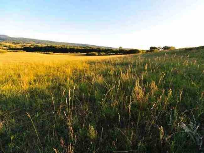新疆草原（下）,图八