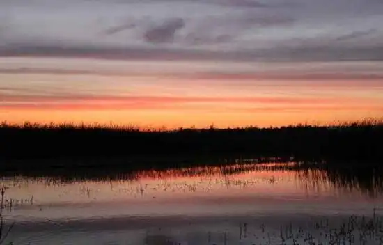 哈巴河：血色残阳 湿地夕照