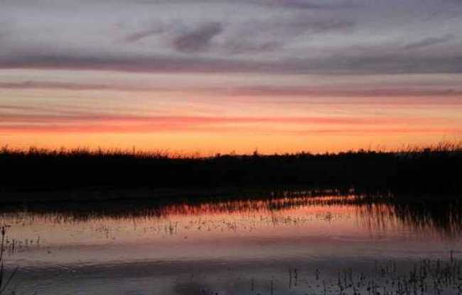 哈巴河：血色残阳 湿地夕照,图十四