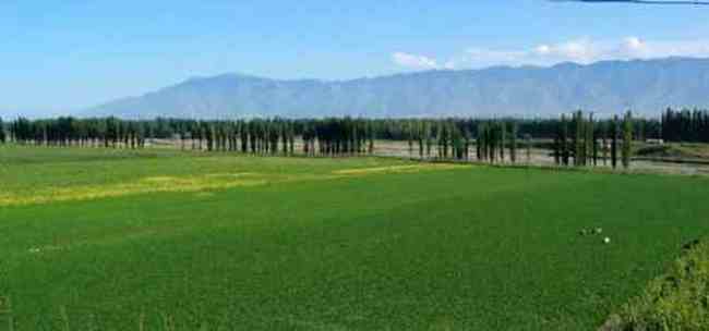 新疆依犁风光,图八