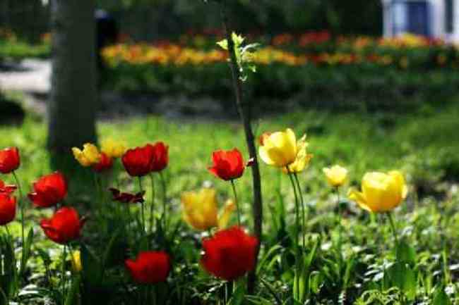 新疆新源风光,图三