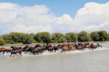 昭蘇濕地公園,天馬浴河,圖六