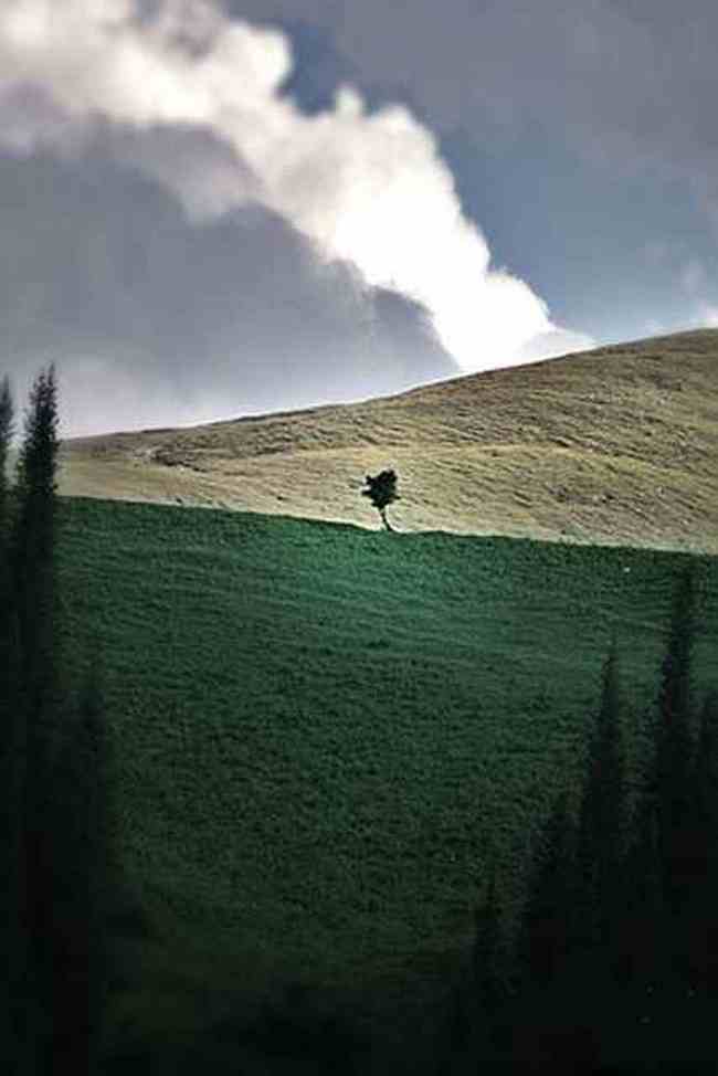 新疆巴音布鲁克草原,图一