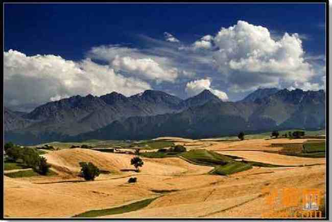 江布拉克摄影的天堂,图六