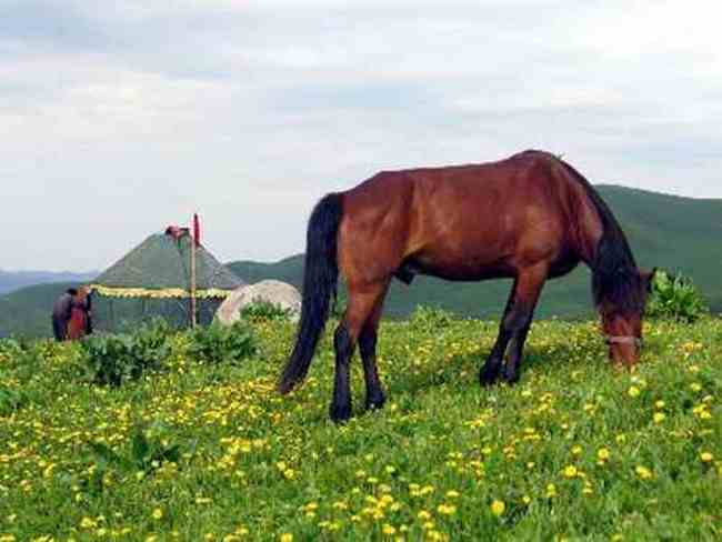 新疆依犁风光,图二