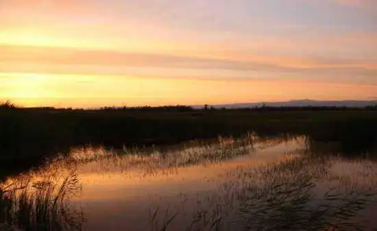 哈巴河：血色残阳 湿地夕照