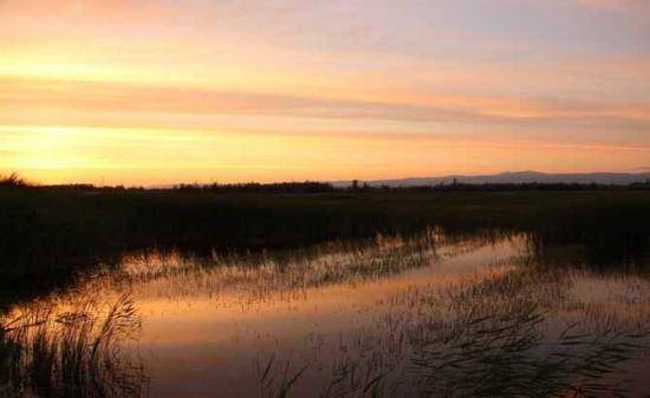 哈巴河：血色残阳 湿地夕照,图四