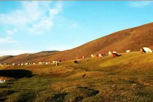 青河三道海子风光