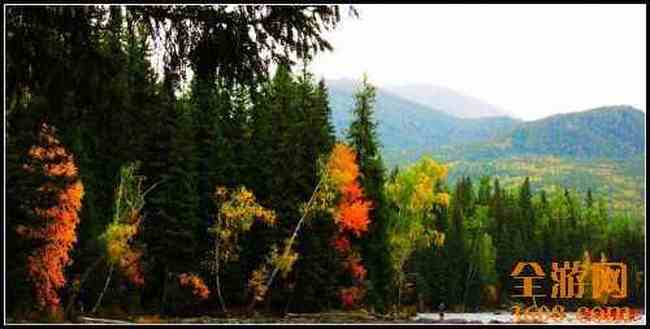 新疆喀纳斯湖,图十四