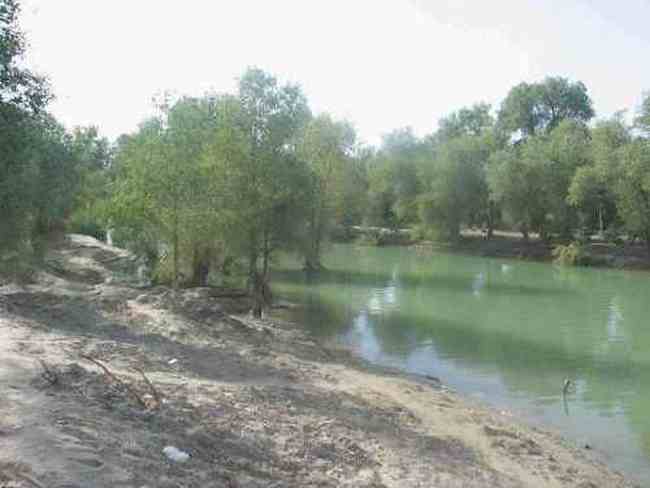 新疆 - 塔克拉玛的另一道风景,图二