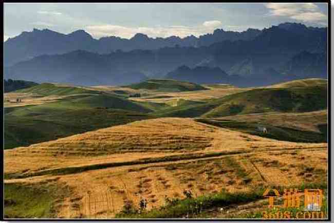 江布拉克摄影的天堂,图十六