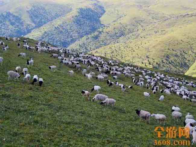 阿勒泰风光,图七