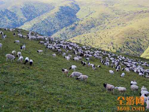 阿勒泰风光,图七