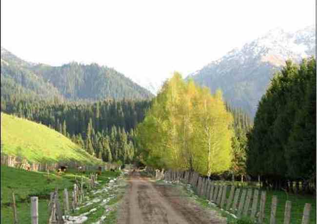 新疆恰西河谷风光,图十二