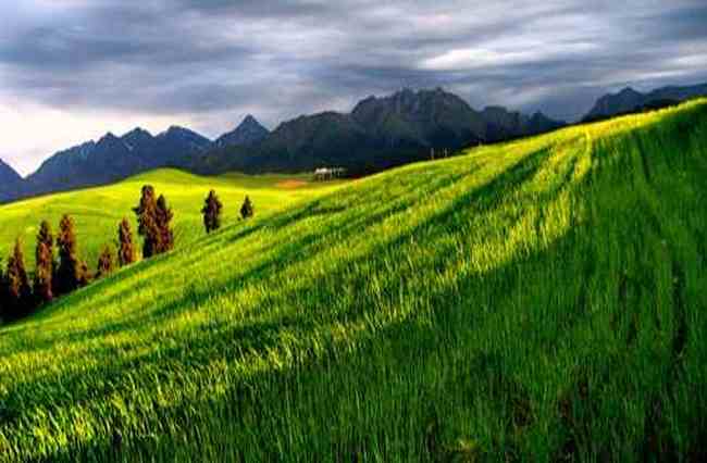 昌吉风光,图十七