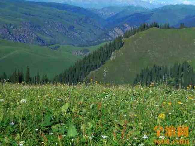 阿勒泰风光,图十