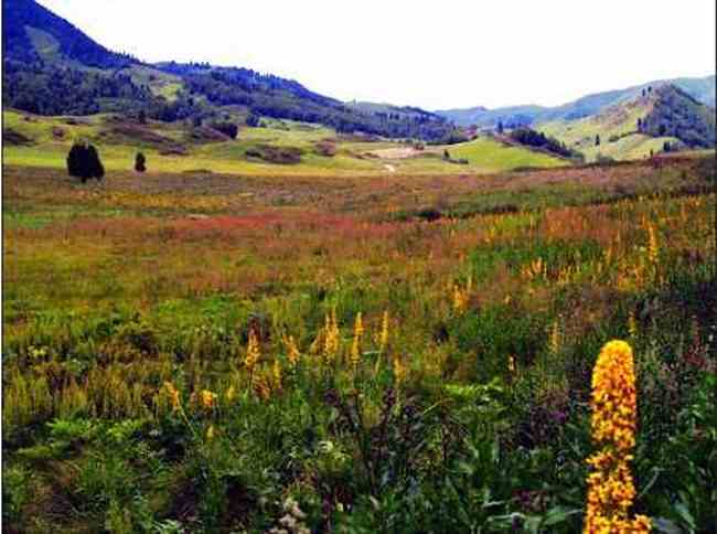 新疆夏尔希,图四