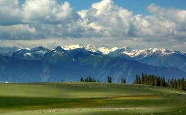 新疆-哈拉峻草原,图五