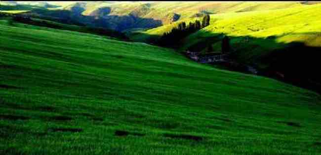 新疆江布拉克,图六