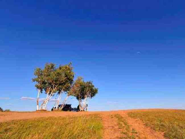 新疆草原（下）,图九