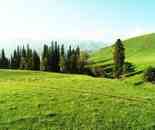 新疆喀納斯風光