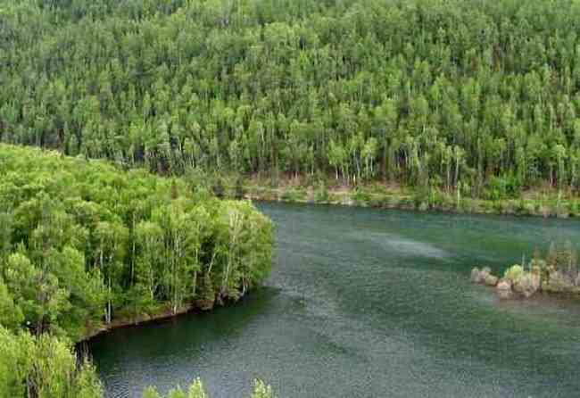 新疆喀纳斯风光,图十二