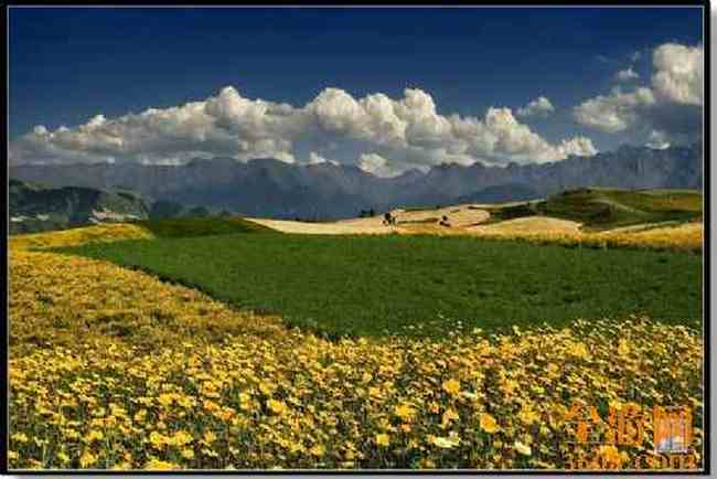 江布拉克摄影的天堂,图二