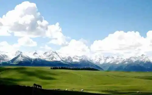 新疆-哈拉峻草原