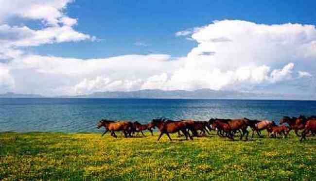 新疆依犁风光,图十二