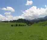 新疆拉那提草原