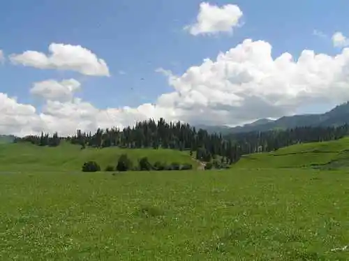 新疆拉那提草原