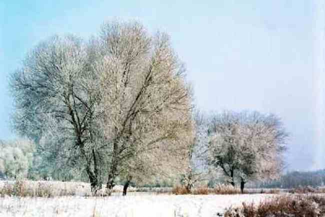 新疆青格達(dá)湖,圖四