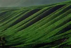 新疆鹿角湾风景