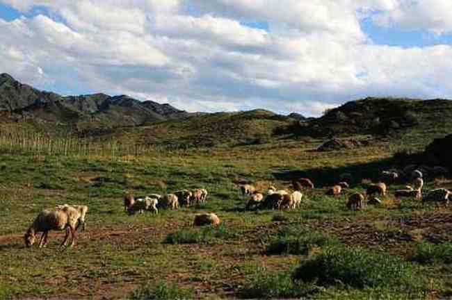 新疆伊犁托里风光,图四