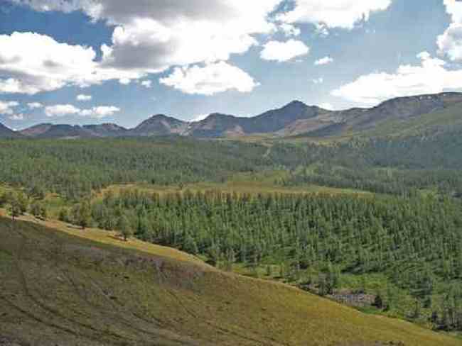 新疆喀纳斯风光,图二