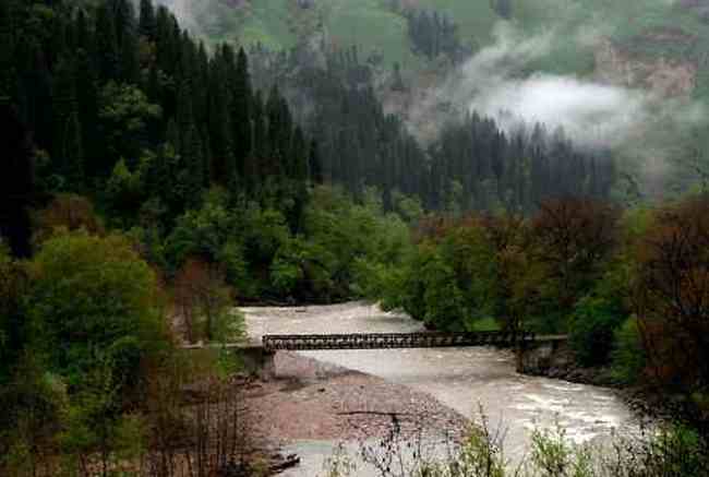 新疆库尔德宁风光,图十
