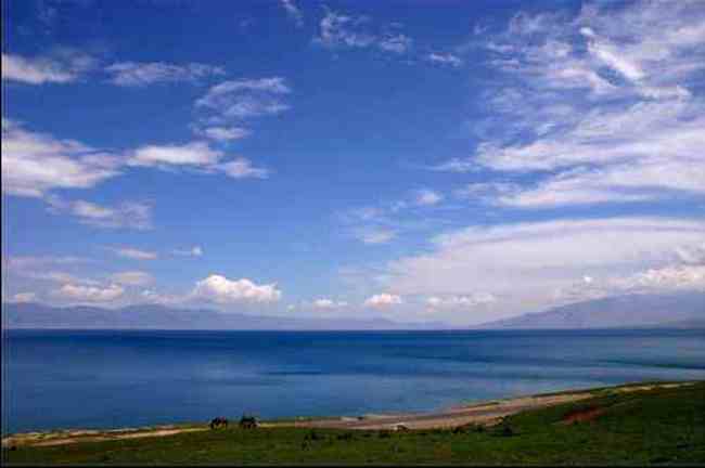 新疆依犁风光,图七