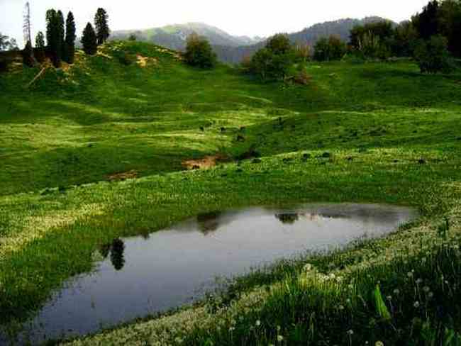 新疆库尔德宁风光,图六