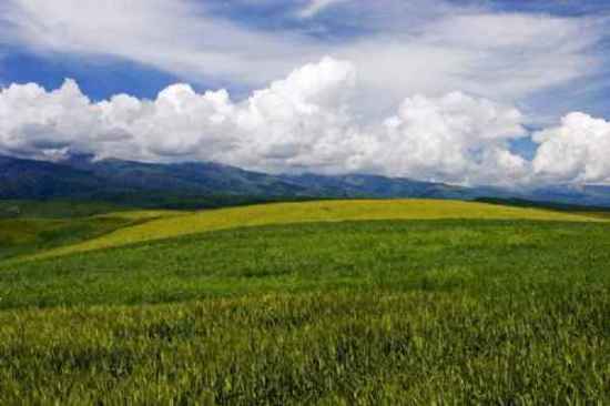 新疆唐布拉草原,图二