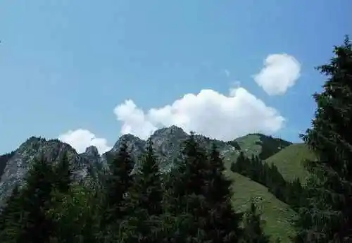 新疆 - 南山牧场